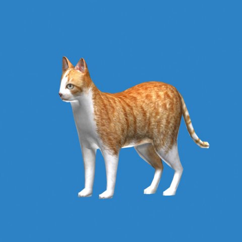 Cat 3D Model