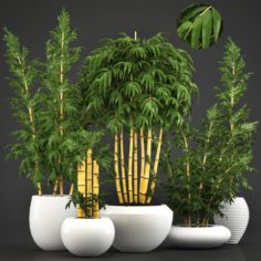 Golden bamboo trees 3D Model
