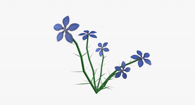 Gentian lowpoly 3D Model