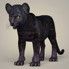Photorealistic Panther Cub 3D Model