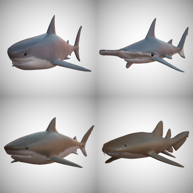 Sharks – 4 Pack 3D Model