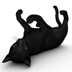 Realistic Black Cat High Poly Rigged 3D Model
