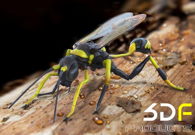 Wasp Insects 3D Model