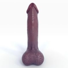 Low Poly Realistic Male Penis Black 3D Model