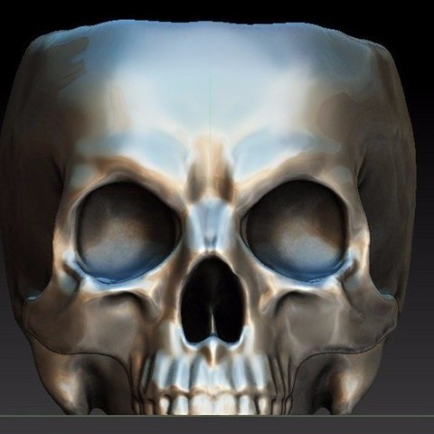 Skull 3D Print Model