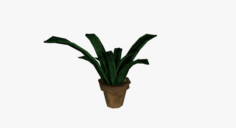 Plant in pot 3D Model