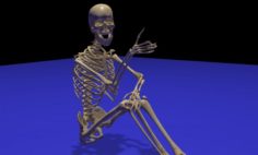 Skeleton Rigged 3D Model