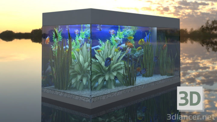 3D-Model 
Rio 180 Aquarium