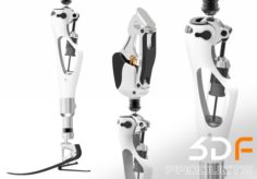 Prosthetic Leg 3D Model
