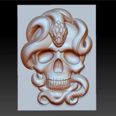 skull model of bas-relief 3D Print Model