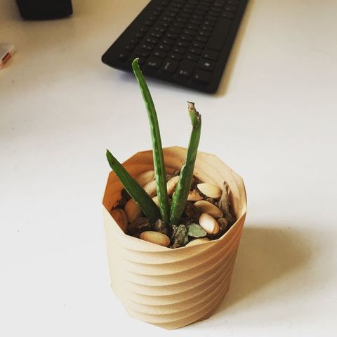 Planter  3D Print Model