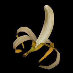 Banana rig 3D Model