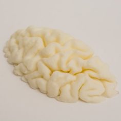 mri brain 3D Print Model