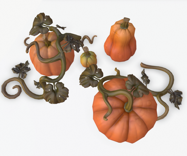 Cartoon Pumpkins 3D Model