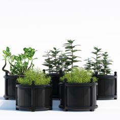 Round versailles planter in black 3D Model
