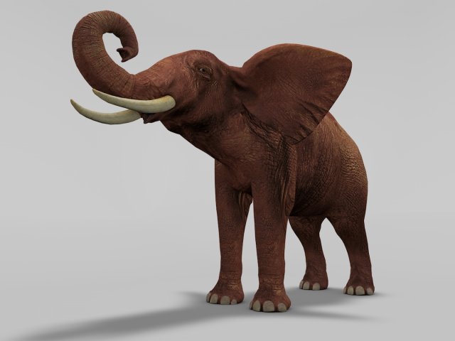 African Elephant Rigged 3D Model