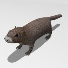Marmot 3D Model