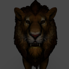 Lion Animated Attack 3D Model