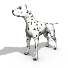 Adult Dalmatian Rigged 3D Model