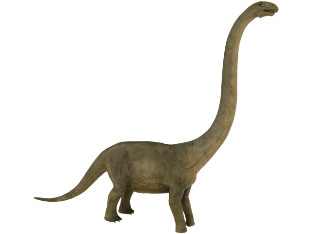 Brontosaurus 3D Model