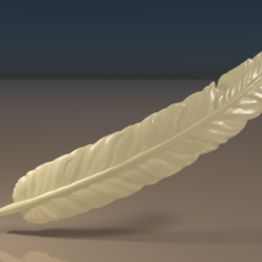 Feather 3D Print Model