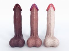 Set Low Poly Realistic Penis 3D Model