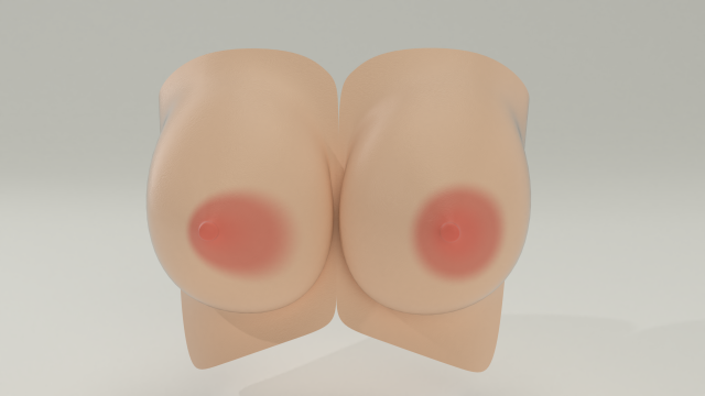 Tits 3D Model