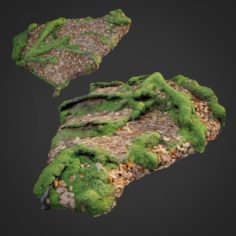 3d scanned nature forest stuff 011 3D Model