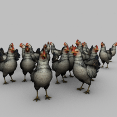 Realistic Chicken Animated 3D Model