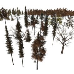 Tree Pack 3D Model
