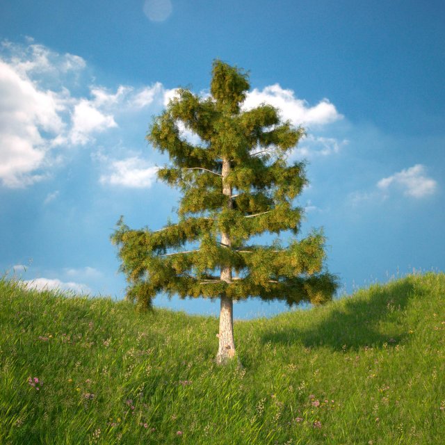 Cedar Tree No 4 3D Model