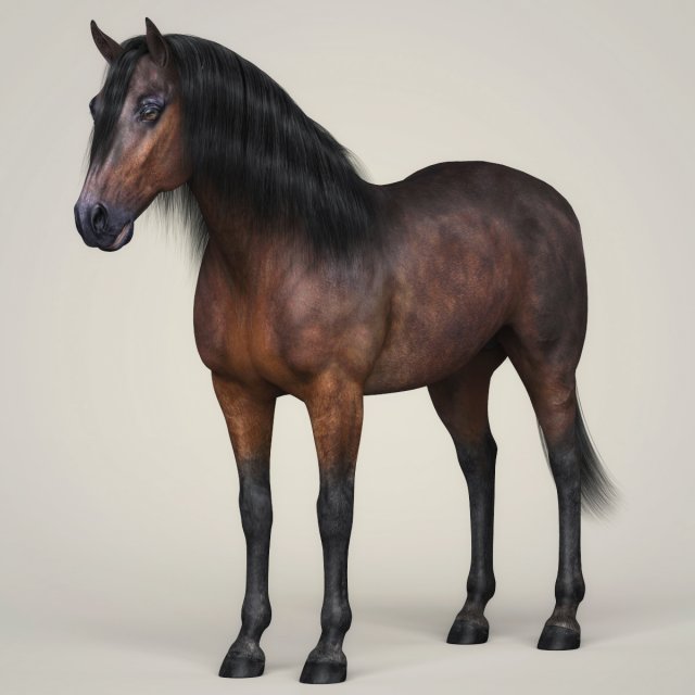Photorealistic Horse 3D Model