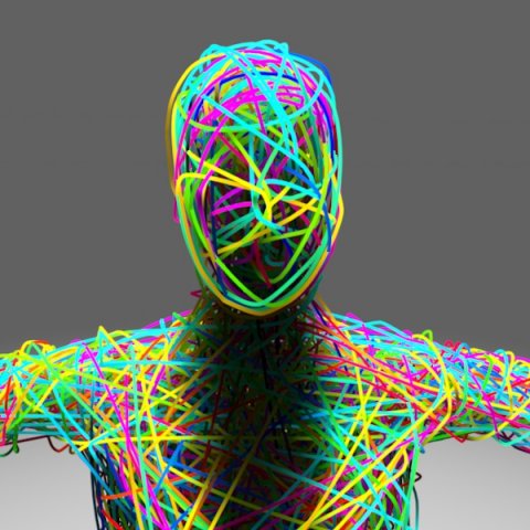 Colorful Human Body 3D Model