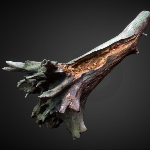 Decayed wood trunk						 Free 3D Model