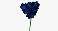 Blue poppy 3D Model