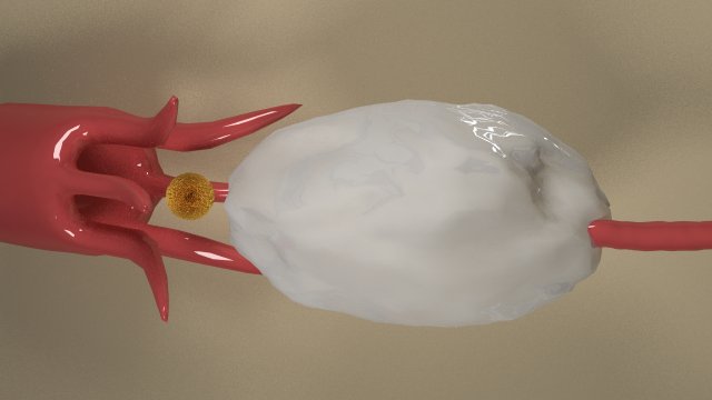 Female ovary 3D Model