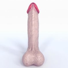 Low Poly Realistic Male Penis White 3D Model