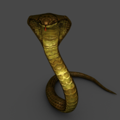 Naja Snake Animated Attack 3D Model