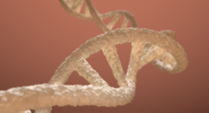 DNA Double Helix Blender 3D Model
