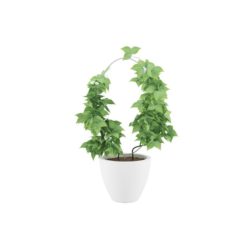 Plants 08 3D Model