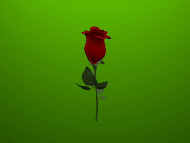Red rose 3D Model
