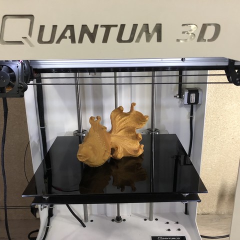 Golden Fish 3D Print Model