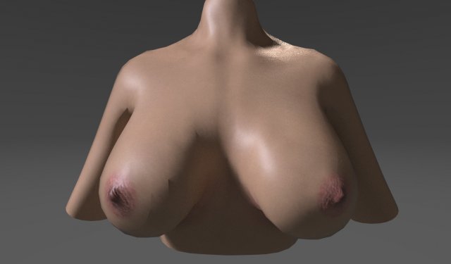 Tits Realistic 3D Model