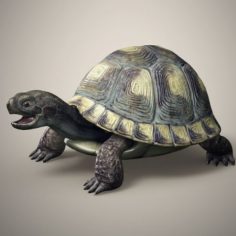 Tortoise 3D Model