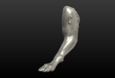 Wolf Paw 3D Model