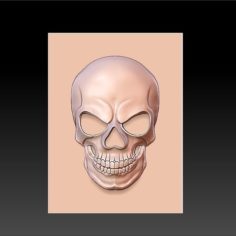 skull 3D Print Model