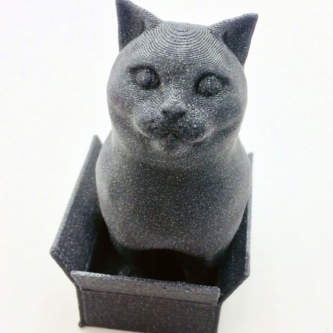 British Shorthair Cat Sitting In A Box(single extrusion version) 3D Print Model