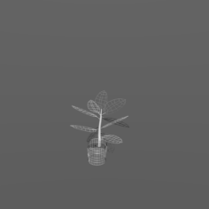 Rubber Plant Vr-Ar Game ready highly detailed 3D Model