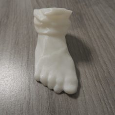 Foot (Scan) 3D Print Model