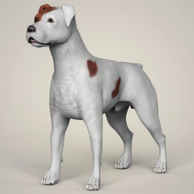 Realistic Parson Russell Terrier Dog 3D Model